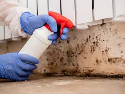 Best Air Quality Testing for Mold Spores  in East Sparta, OH